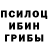Псилоцибиновые грибы Psilocybe Wilna Chan