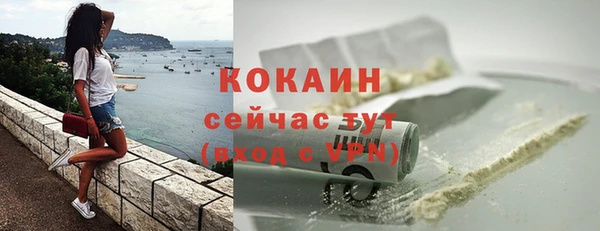 прущий лед Алзамай