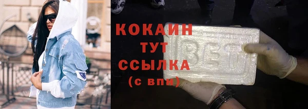 прущий лед Алзамай
