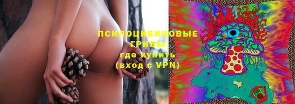 прущий лед Алзамай