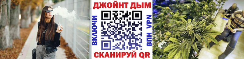 Марихуана сатива Калач-на-Дону